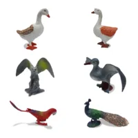 Zubblo Large Bird  Model Toy Set – 6 PCS Realistic PVC Farm & Jungle Bird Figures | Educational 3D Sparrow Miniature Toys for Kids